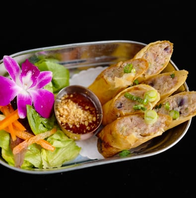 Top Thai Chicken Spring Roll