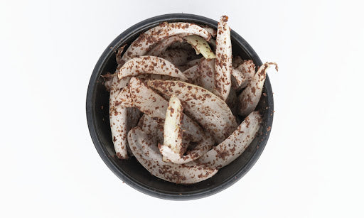3oz Sumac Onions